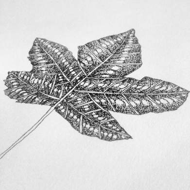 Pointillism Leaf